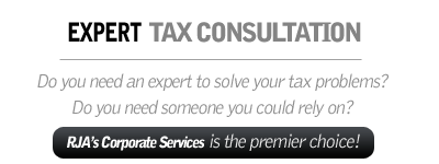 Affordable Tax Consultation Service